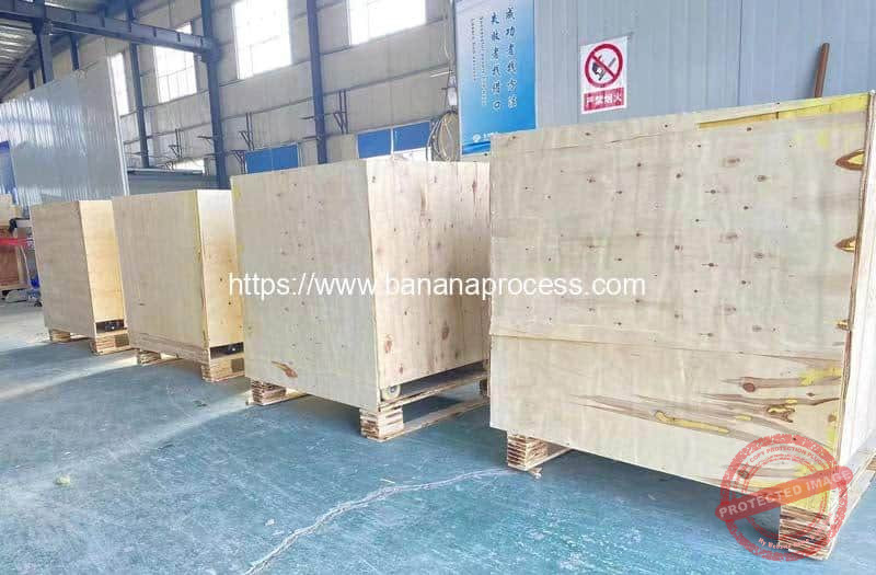 Automatic-Green-Banana-Peeling-Machine-Package-for-India-Customer